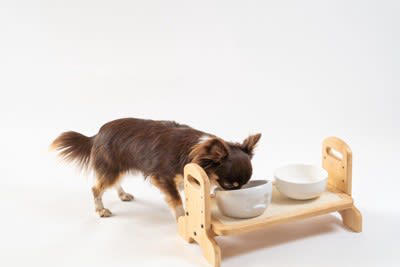 犬にNGな「ご飯の与え方」6選, 1.人間の食べ物や与えてはいけない食品を与える, 2.食事の時間を決めずにダラダラと与える, 3.熱すぎる、または冷たすぎる食べ物を与える, 4.ドッグフードを水でふやかしすぎた状態で放置する, 5.食器の高さが合っていない, 6.食べ残しをすぐに片付けない, 意外と知らない食事のしつけの重要性, 愛犬の体に負担をかけないためにすべき配慮