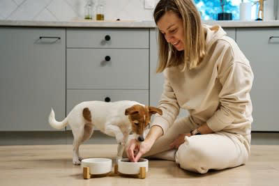 犬にNGな「ご飯の与え方」6選, 1.人間の食べ物や与えてはいけない食品を与える, 2.食事の時間を決めずにダラダラと与える, 3.熱すぎる、または冷たすぎる食べ物を与える, 4.ドッグフードを水でふやかしすぎた状態で放置する, 5.食器の高さが合っていない, 6.食べ残しをすぐに片付けない, 意外と知らない食事のしつけの重要性, 愛犬の体に負担をかけないためにすべき配慮