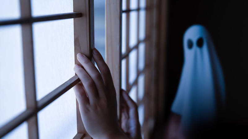 夜眠れなくなるような怖い絵, なぜ人は「怖さ」を求めるのか, 一番の恐怖は大量のゴキブリが…, ホラー好きの夫とホラー嫌いの娘