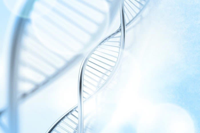 1.遺伝子に刻まれているから, 2.時間の間隔を識別できるから, 3.太陽の位置を把握できるため, 4.タンパク質中心の食生活によるもの, 5.観察力・学習能力・ルーティン化