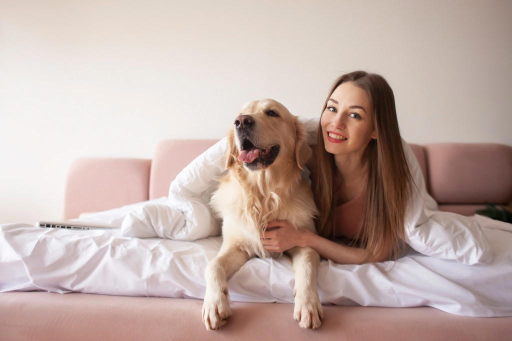 Cavalier King Charles Spaniel, Chihuahua, Golden Retriever, Labrador Retriever, Cockapoo, West Highland Terrier , Vizslas , How to Deal with Separation Anxiety