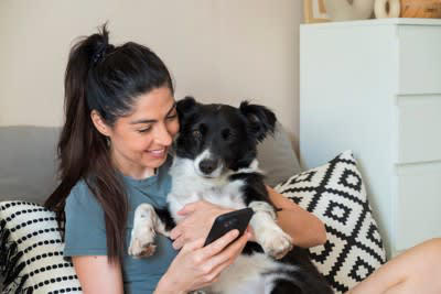 犬にお手を教えるメリット3選！, 1.獣医師の診察がスムーズに, 2.グルーミングやお手入れが楽に, 3.日常生活での安心感, 無理なく進めるコツを紹介！ポジティブな体験を積み重ねよう, ご褒美を活用する, 短時間から始める, 犬のペースを尊重する, 犬にお手を教えるのはコミュニケーションの時間として楽しむ