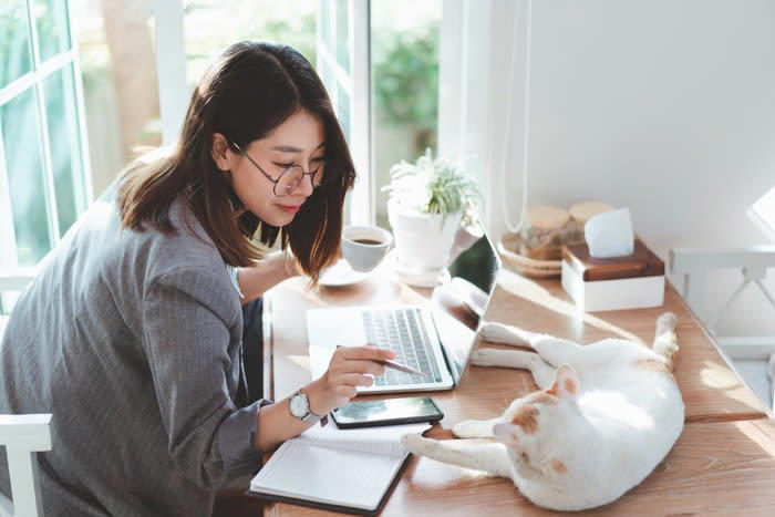 猫が呼んでいるときのサイン4つ, 1.仰向けに寝てこちらを見る, 2.おもちゃを持ってくる, 3.遠くからじっとこちらを見つめている, 4.飼い主の作業中に近くで座って待っている, 呼ばれたらすぐ応える？猫が呼びかけるときの適切な応え方