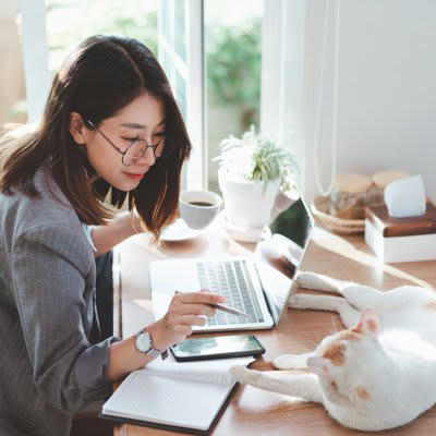 猫が呼んでいるときのサイン4つ, 1.仰向けに寝てこちらを見る, 2.おもちゃを持ってくる, 3.遠くからじっとこちらを見つめている, 4.飼い主の作業中に近くで座って待っている, 呼ばれたらすぐ応える？猫が呼びかけるときの適切な応え方