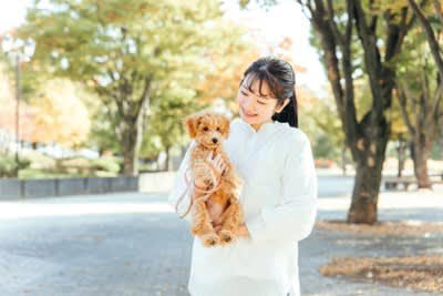 犬が抱っこをおねだりする理由5つ, 1.甘えたい・愛情を感じたいから, 2.不安や恐怖を感じて安心したい, 3.疲れている・体調が悪い, 4.構ってもらいたい・注目されたい, 5.寒い・床が冷たい・環境が不快, 可愛いからといっていつでも応えてOK？, 抱っこに応えるときの注意点, 正しい抱き方を心がける, 長時間の抱っこは控える, 抱っこを「ご褒美化」しすぎない, 安全な場所とタイミングを選ぶ