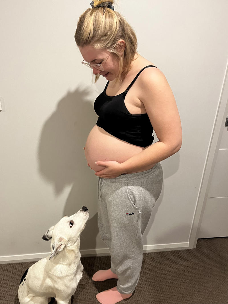 Pre-conception, Getting it right, During pregnancy, After pregnancy, Partnership