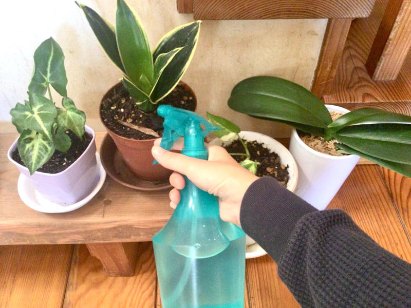 1. 観葉植物の水やりに使う, 2. 洗濯機に入れて使う, 3. 加湿器の給水に利用する, 4. 災害時の生活用水（トイレ洗浄用など）に使う