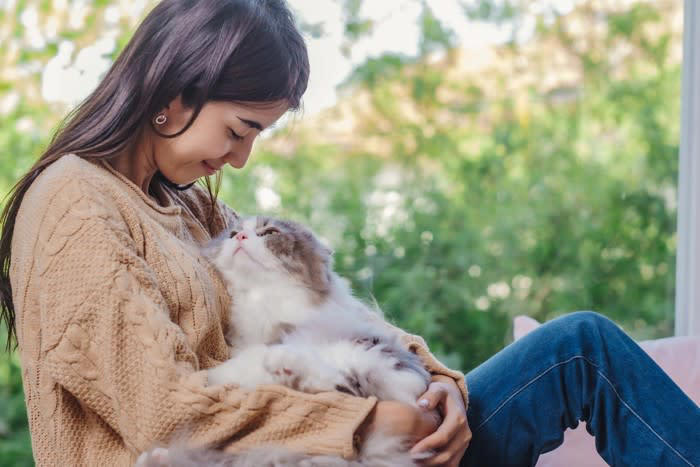1.最後まで責任を持って飼うこと, 2.猫に配慮した生活環境を用意すること, 3.近所迷惑になる行動は控えること, 4.猫について学び続けること