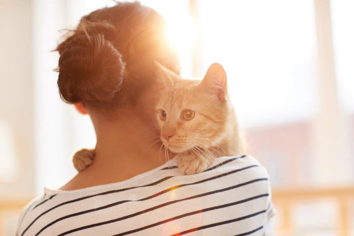 1.最後まで責任を持って飼うこと, 2.猫に配慮した生活環境を用意すること, 3.近所迷惑になる行動は控えること, 4.猫について学び続けること