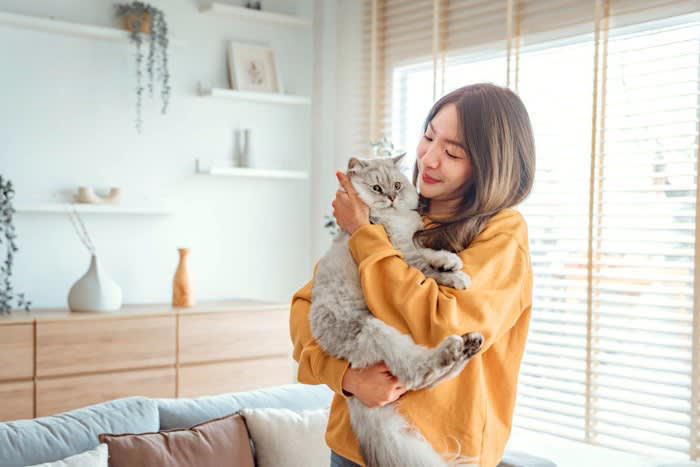 1.最後まで責任を持って飼うこと, 2.猫に配慮した生活環境を用意すること, 3.近所迷惑になる行動は控えること, 4.猫について学び続けること