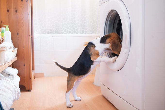 Utility Sink, Upgraded Appliances, Ample Storage, Upgraded Flooring, Folding Area, Drying Space, Pet Cleaning/Storage Space, Luxury Finishes, Laundry Chute, Maximize Lighting, About the Experts