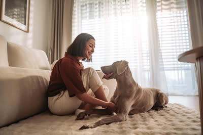 見逃さないで！犬からの『大好きアピール』５選, 1.目を細めて見つめる, 2.体を密着させてくる, 3.顔や鼻を押し付けてくる, 4.顔や手を舐める, 5.おしりをくっつけてくつろぐ, 犬から好かれるために意識したいポイント