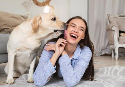 見逃さないで！犬からの『大好きアピール』５選, 1.目を細めて見つめる, 2.体を密着させてくる, 3.顔や鼻を押し付けてくる, 4.顔や手を舐める, 5.おしりをくっつけてくつろぐ, 犬から好かれるために意識したいポイント