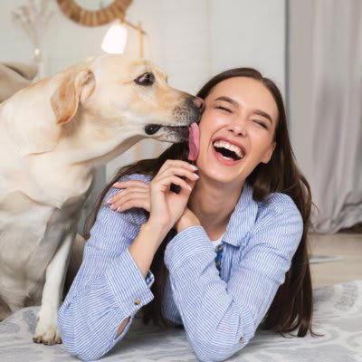 見逃さないで！犬からの『大好きアピール』５選, 1.目を細めて見つめる, 2.体を密着させてくる, 3.顔や鼻を押し付けてくる, 4.顔や手を舐める, 5.おしりをくっつけてくつろぐ, 犬から好かれるために意識したいポイント