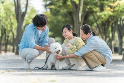 ️犬が寂しいと感じる飼い主の行動, 声をかけてくれない, スキンシップがない, スマホやテレビばかり見ている, ️愛犬に孤独感を感じさせないために, こまめに声をかける, スキンシップをとる, 愛犬とだけ向き合う時間をつくる