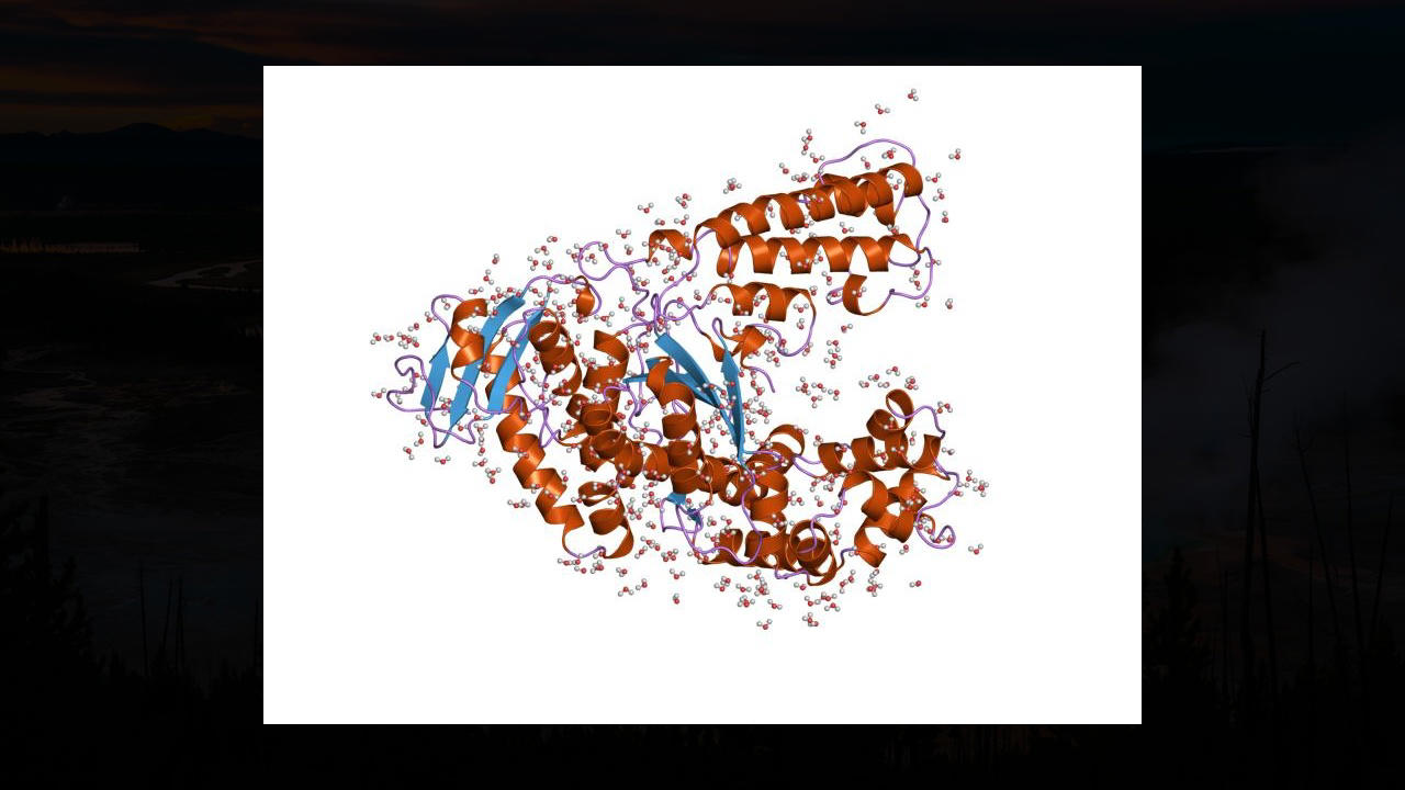 One Enzyme Won a Nobel The Search Starts Underground, Grand Prismatic Hides Invisible Life, Rainbow Colors Are Living Things, Three Types of Extremophiles Thrive, Why Chemolithotrophs Matter Most, Tom Brock's 1966 Discovery, One Enzyme Won a Nobel, Your COVID Test Started Here, Extremophiles Leave Signatures Behind, Mars Shows Ancient Hot Springs, Perseverance Found Something in 2025, Yellowstone May Prove We're Not Alone