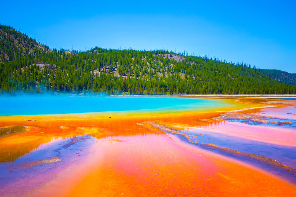 Three Types of Extremophiles Thrive The Search Starts Underground, Grand Prismatic Hides Invisible Life, Rainbow Colors Are Living Things, Three Types of Extremophiles Thrive, Why Chemolithotrophs Matter Most, Tom Brock's 1966 Discovery, One Enzyme Won a Nobel, Your COVID Test Started Here, Extremophiles Leave Signatures Behind, Mars Shows Ancient Hot Springs, Perseverance Found Something in 2025, Yellowstone May Prove We're Not Alone