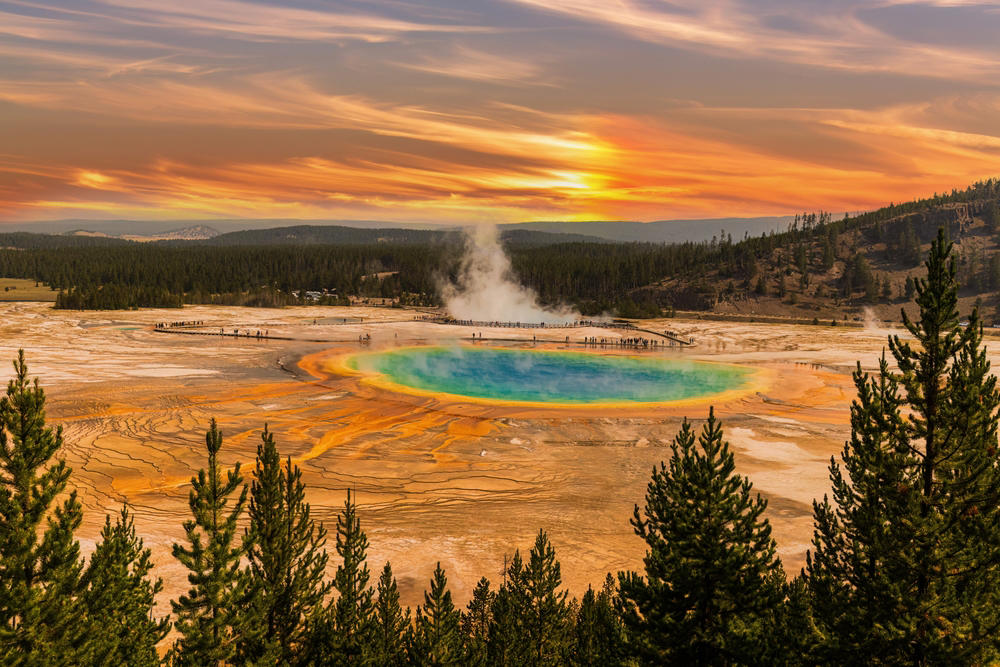 Why Chemolithotrophs Matter Most The Search Starts Underground, Grand Prismatic Hides Invisible Life, Rainbow Colors Are Living Things, Three Types of Extremophiles Thrive, Why Chemolithotrophs Matter Most, Tom Brock's 1966 Discovery, One Enzyme Won a Nobel, Your COVID Test Started Here, Extremophiles Leave Signatures Behind, Mars Shows Ancient Hot Springs, Perseverance Found Something in 2025, Yellowstone May Prove We're Not Alone