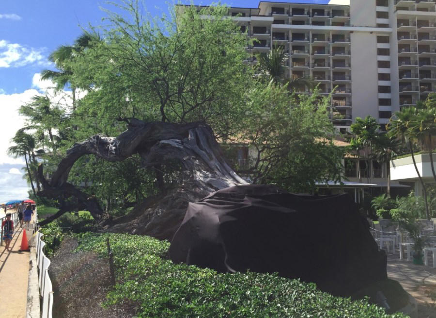 ʻIolani Palace, Honolulu Museum of Art, Royal Hawaiian Hotel, Halekulani, Alexander and Baldwin Building, Liljestrand House, Board of Water Supply Building, IBM Building, East West Center, Hawaiʻi State Capitol, Our picks