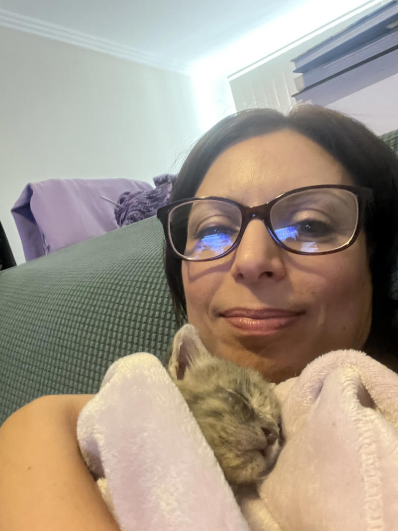 Why I started fostering kittens, What it's like, What foster kittens initially need, How we come across the kittens, The 'crazy eight', What you can do to help the cause