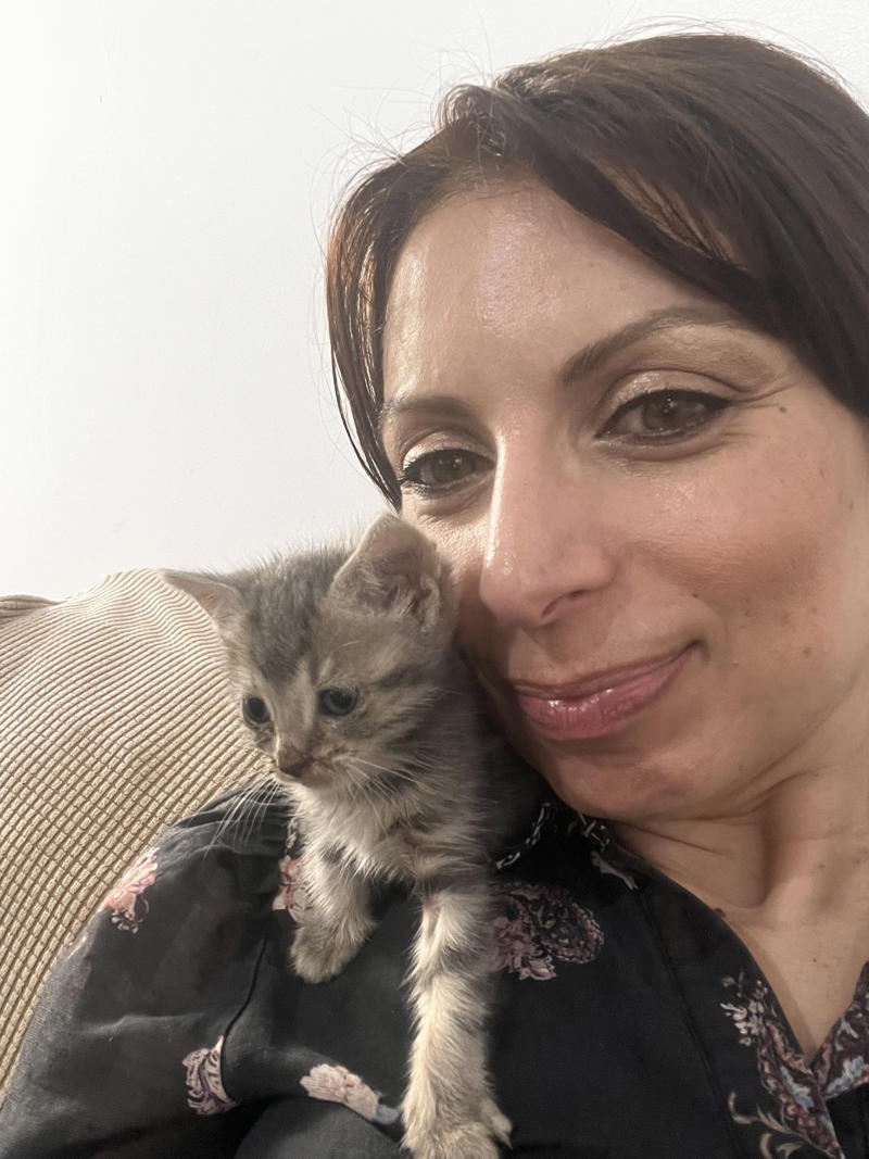 Why I started fostering kittens, What it's like, What foster kittens initially need, How we come across the kittens, The 'crazy eight', What you can do to help the cause