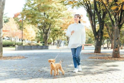 犬はどのようにして「時間」を判断しているの？, 体の中の「体内時計」, 周りの環境の変化, 飼い主のルーティンを覚えている, 愛犬の生活リズムを整えるために飼い主ができること, 毎日決まった時間に「ご飯」と「散歩」, 「始まり」と「終わり」をわかりやすくする, 寝る場所と遊ぶ場所を分ける