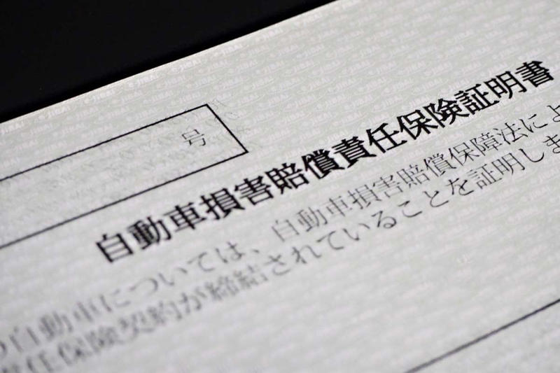 自賠責保険資金の一括返還, 政策決定と政党の評価, 財政難と政策の長期化, 財務省裁量と政策不透明, 日本制度の特異性, 制度運営の可視化