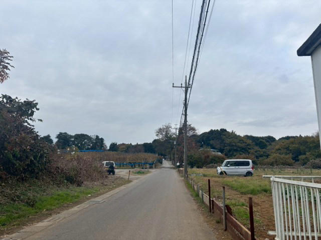 ・歩いた方が早かった, ・どことなく漂う昭和感, ・屋台に大人も夢中, ・フードロスから年末のまとめ買いにも
