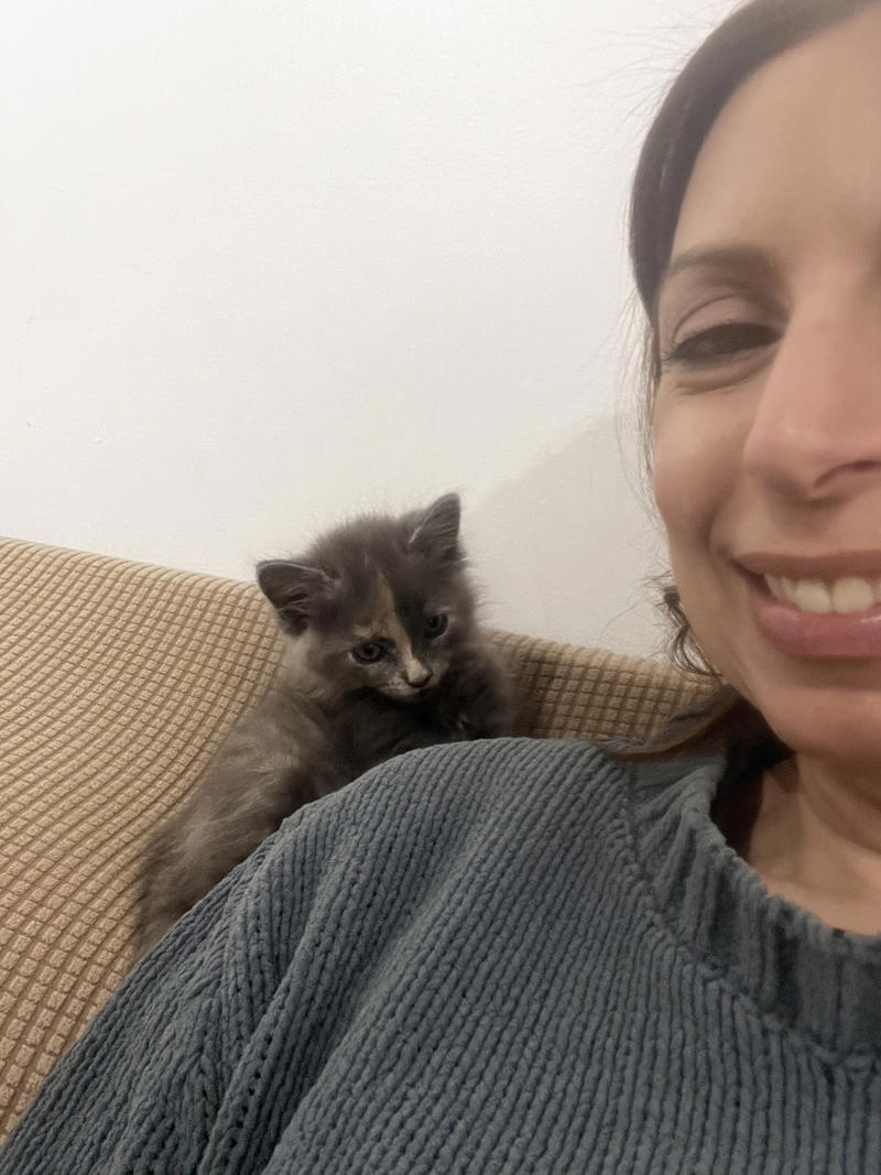 Why I started fostering kittens, What it's like, What foster kittens initially need, How we come across the kittens, The 'crazy eight', What you can do to help the cause