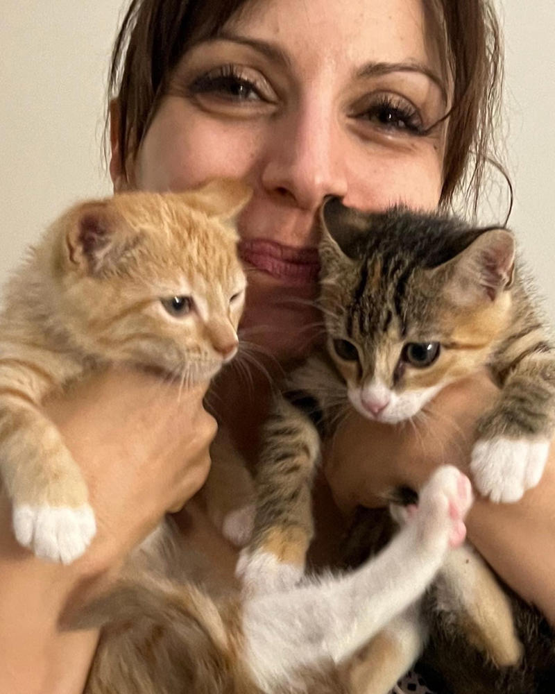 Why I started fostering kittens, What it's like, What foster kittens initially need, How we come across the kittens, The 'crazy eight', What you can do to help the cause