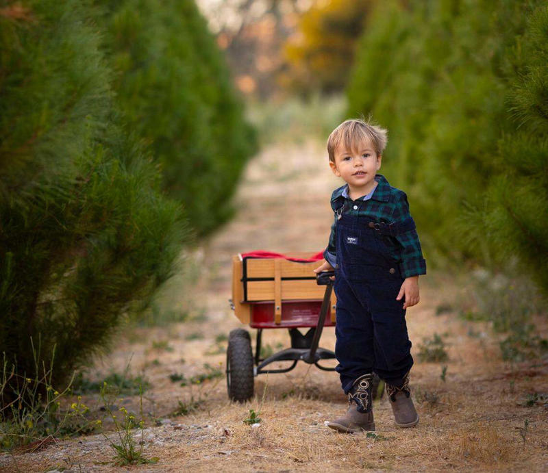 Agape Christmas Trees in Templeton, Brookshire Farms in SLO, Hidden Springs Tree Farm in Atascadero, Avila Valley Barn, Cambria Nursery and Florist, Holloway's Christmas Trees in Nipomo, Salinas River Ranch in Atascadero, Jack Creek Farms in Templeton, SLO Ranch Farms in San Luis Obispo