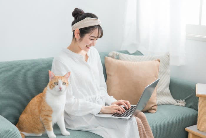 座る場所から読み取る猫の心理4選, 1.飼い主の膝の上, 2.すぐそば・手が届く場所, 3.少し離れた場所, 4.姿が見えない離れた場所, 座る場所によって信頼度が異なるってホント？