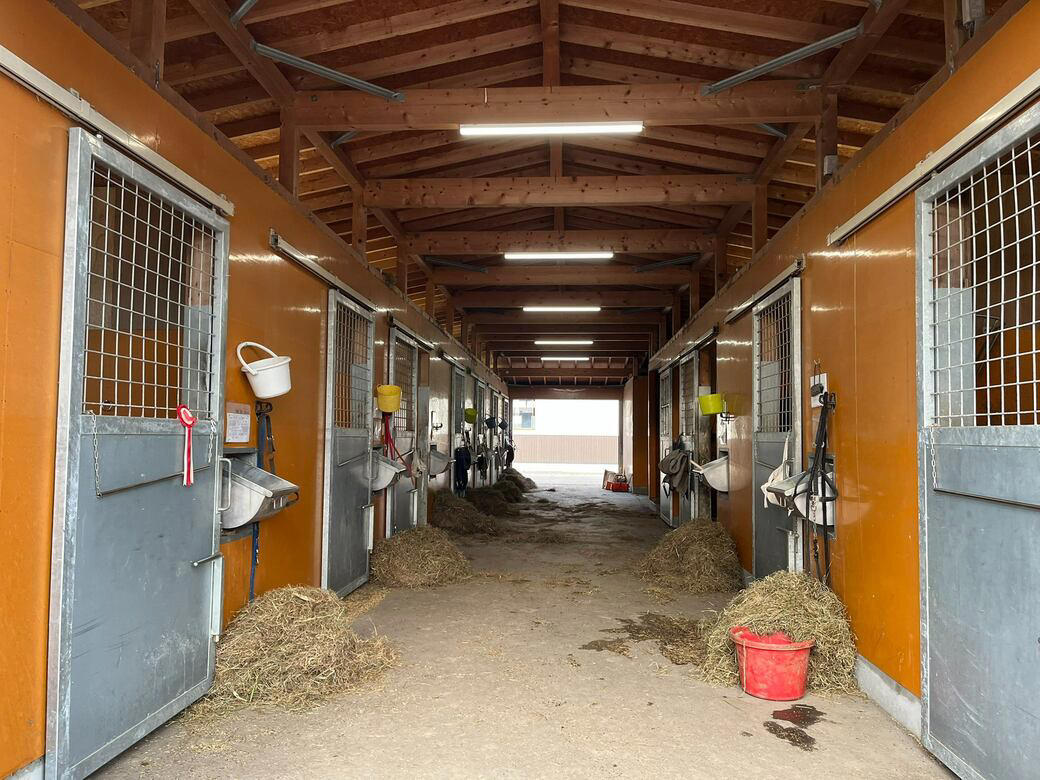 『ザ・ロイヤルファミリー』に次々登場！, 競馬ファンの「聖地」でも撮影, 「日高の牧場」が直面している危機, もう列車は来ない…「JR日高本線」の現状, 「観光客のマナー」が新たな問題に