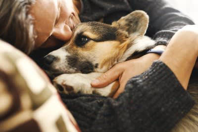1.人間用の食べ物を与える, 2.犬と常に一緒にいる, 3.留守番時間が長すぎる, 4.床やテーブルに物を置きっぱなしにする, 5.年齢に合わせたケアをしない