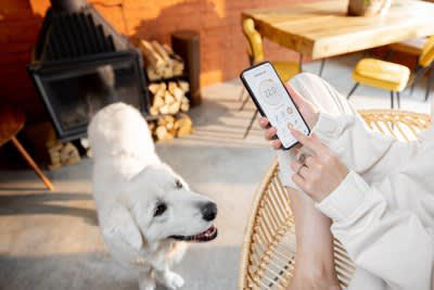犬が亡くなるかもしれない『暖房機器』５選, 1.石油ストーブ, 2.電気ストーブ, 4.電気カーペット, 冬の暖房機器を安全に使うためのチェック項目