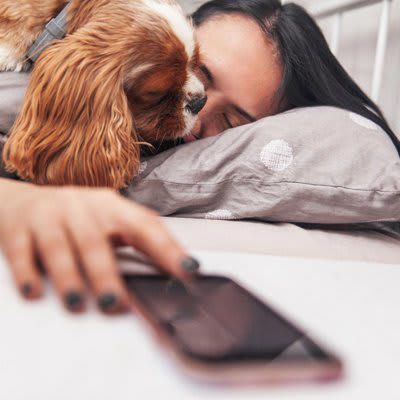 犬にストレスを与える飼い主の生活習慣, 1.生活リズムが不規則であること, 2.1日のほとんどをお留守番していること, 3.過度なスキンシップや干渉をすること, 4.しつけに対して一貫性がないこと, 5.運動量が不足していること, 精神的苦痛を感じているサインと不満を解消させる方法