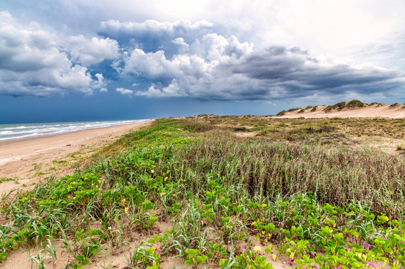 15. Coronado Beach, California, 14. St. Augustine Beach, Florida, 13. Lake Havasu State Park, Arizona, 12. Coligny Beach, Hilton Head, South Carolina, 11. South Padre Island, Texas, 10. Orange Beach, Alabama, 9. Trunk Beach, US Virgin Islands, 8. Siesta Beach, Florida, 7. Kailua Beach Park, Hawaii, 6. Ka'anapali Beach, Hawaii, 5. Hapuna Beach State Park, Hawaii, 4. Kaunaoa Beach (Mauna Kea Beach), Hawaii, 3. Waikiki Beach, Hawaii, 2. Navarre Beach, Florida, 1. Pensacola Beach, Florida