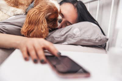 犬にストレスを与える飼い主の生活習慣, 1.生活リズムが不規則であること, 2.1日のほとんどをお留守番していること, 3.過度なスキンシップや干渉をすること, 4.しつけに対して一貫性がないこと, 5.運動量が不足していること, 精神的苦痛を感じているサインと不満を解消させる方法