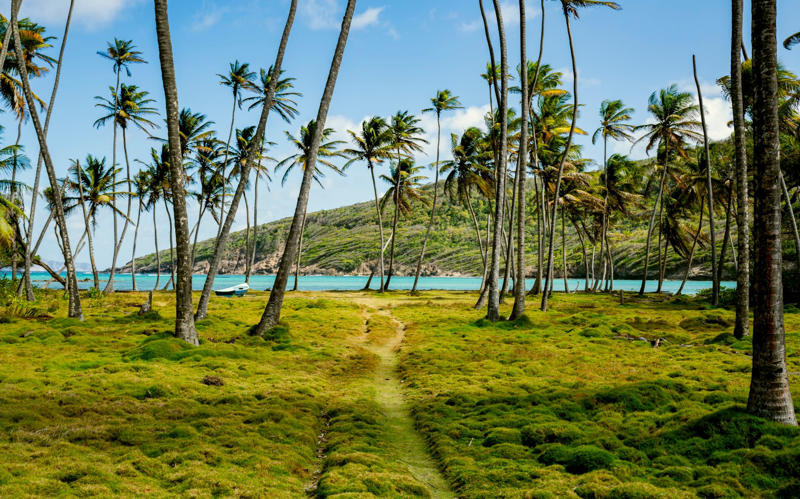 Best for hikers, How to do it, 2. Pine Cay, Turks and Caicos, Best for families, How to do it, 3. Barbuda, Best for bird watchers, How to do it, 4. Dominica, Best for solo travellers, How to do it, 5. Nevis, Best for history lovers, How to do it, 6. Virgin Gorda, BVI, Best for yachting types, How to do it, 7. Tobago, Best for wildlife seekers, How to do it, 8. St Vincent, Best for couples, How to do it, 9. Eleuthera, Bahamas, Best for group trips, How to do it, 10. Vieques, Puerto Rico, Best for kayakers, How to do it