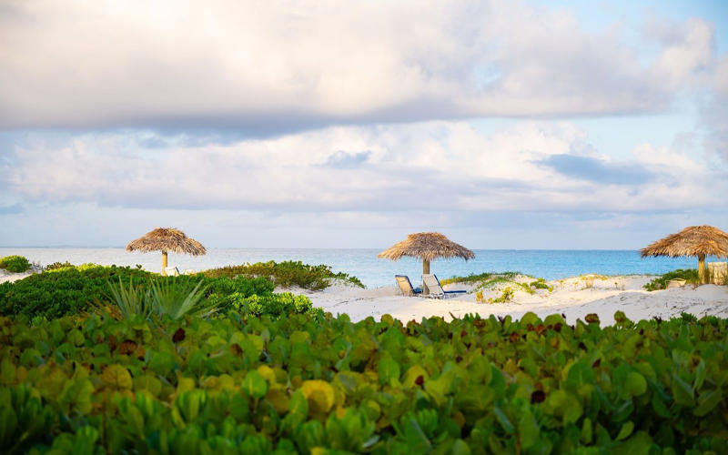 Best for hikers, How to do it, 2. Pine Cay, Turks and Caicos, Best for families, How to do it, 3. Barbuda, Best for bird watchers, How to do it, 4. Dominica, Best for solo travellers, How to do it, 5. Nevis, Best for history lovers, How to do it, 6. Virgin Gorda, BVI, Best for yachting types, How to do it, 7. Tobago, Best for wildlife seekers, How to do it, 8. St Vincent, Best for couples, How to do it, 9. Eleuthera, Bahamas, Best for group trips, How to do it, 10. Vieques, Puerto Rico, Best for kayakers, How to do it