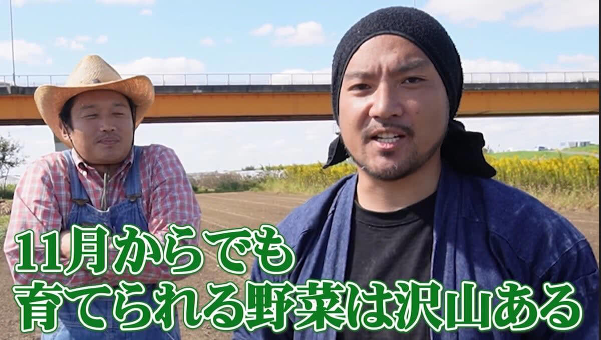11月に植えるべき野菜はコレ！, なぜ“今”植えるの？, ① 虫被害が激減する, ② 野菜が甘く育つ, ③ 品種を選べばしっかり育つ, 11月に植えるべき野菜3選！, 【まとめ】11月は“冬だからこそ育てやすい野菜”がある！ 今がチャンス！