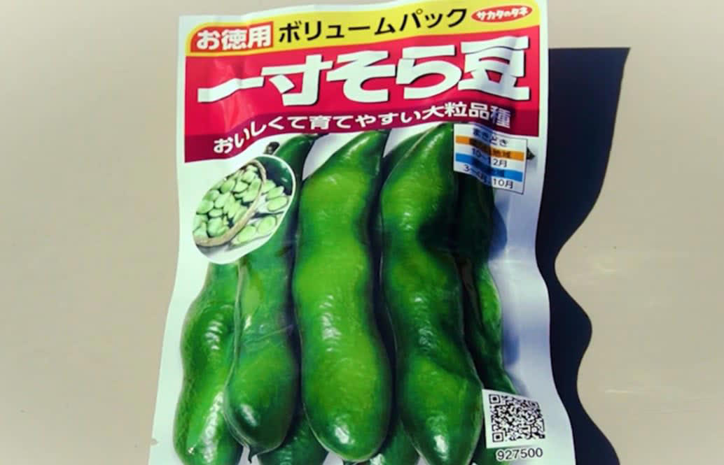 11月に植えるべき野菜はコレ！, なぜ“今”植えるの？, ① 虫被害が激減する, ② 野菜が甘く育つ, ③ 品種を選べばしっかり育つ, 11月に植えるべき野菜3選！, 【まとめ】11月は“冬だからこそ育てやすい野菜”がある！ 今がチャンス！