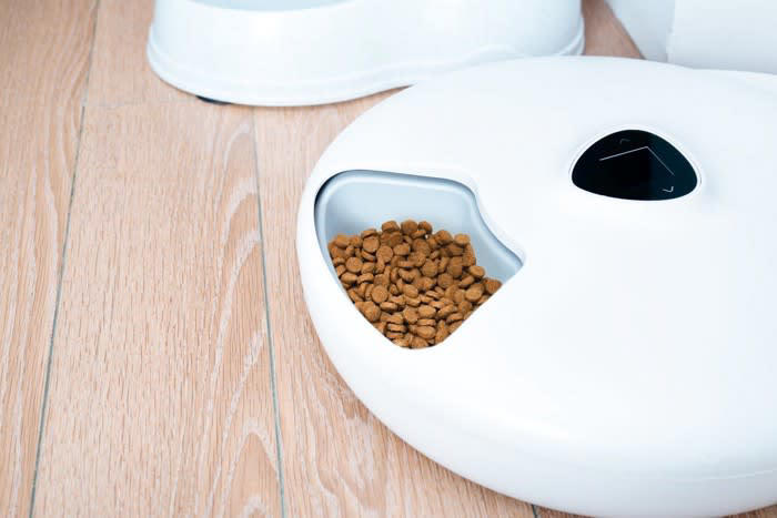 猫が『生きがい』に感じていること5選, 1.美味しいごはんやおやつを食べること, 2.飼い主さんに撫でられる・甘えること, 3.一緒に遊ぶこと, 4.安心して眠ること, 5.外を観察すること, 猫に満足のいく日々を過ごしてもらうための方法, 食事・遊び・休息のバランスを整える, 猫が安心できる居場所をつくる, コミュニケーションの「質」を大切にする
