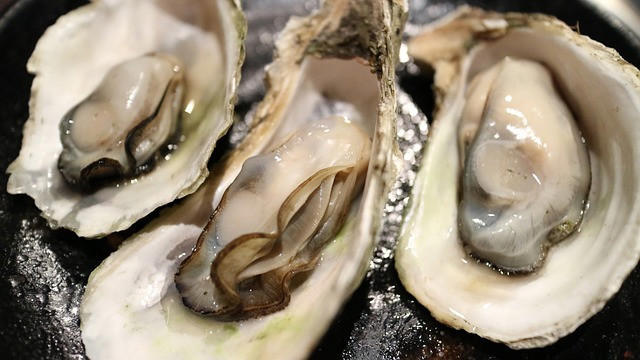 ・夏とは違う冬ならではの旬な食材が楽しめる！, ・ホットスイーツがおいしく食べられる, ・キャンプ場が比較的空いている, ・虫が気にならないため快適に過ごせる！, ・ご近所さんの家の窓が閉まっている, ・焚き火が心地よい暖かさになる, ・冬の食材の旨味を思いっきり楽しむならコレ！浜焼き, ・いろいろな食材が堪能できる！チーズフォンデュ, ・体をあたためる料理の代表格！冬に欠かせない鍋, ・旨味がギュッと凝縮！鮭のホイル焼き, ・栄養満点で体もポカポカ！ポトフ, ・おつまみ感覚で食べられる！アヒージョ, ・栄養満点のポカポカサイドメニュー！豚汁, ・デザートにもぴったりなポカポカスイーツ！おしるこ