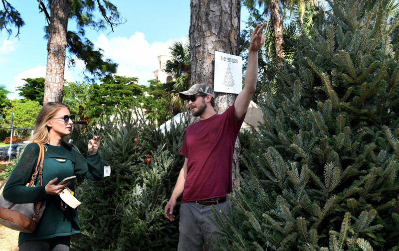Christmas and holiday events, Holiday parades, Where to get Christmas trees, Holiday shopping and markets