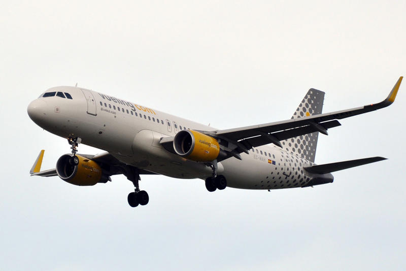 Vueling Aer Lingus, Air Baltic, Air Busan, Air France, Air New Zealand, Air Seoul, British Airways, Emirates, FlyDubai, Korean Air, Qatar Airways