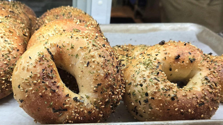 Mt. Bagel, Backyard Bagel, Hey Bagel, Old Salt Fish and Bagel, Bloom Bistro & Grocery, Rachel's Bagels and Burritos, Salmonberry Goods, Bagel Oasis, Loxsmith Bagels, Zylberschtein's Deli, Methodology
