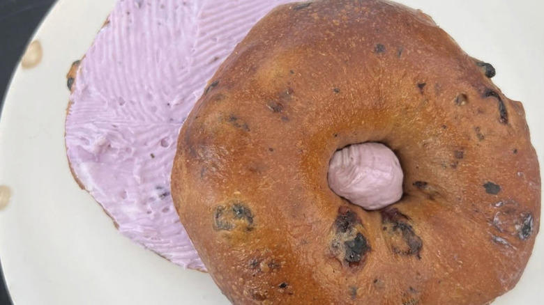 Mt. Bagel, Backyard Bagel, Hey Bagel, Old Salt Fish and Bagel, Bloom Bistro & Grocery, Rachel's Bagels and Burritos, Salmonberry Goods, Bagel Oasis, Loxsmith Bagels, Zylberschtein's Deli, Methodology