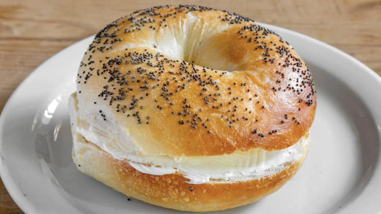 Mt. Bagel, Backyard Bagel, Hey Bagel, Old Salt Fish and Bagel, Bloom Bistro & Grocery, Rachel's Bagels and Burritos, Salmonberry Goods, Bagel Oasis, Loxsmith Bagels, Zylberschtein's Deli, Methodology