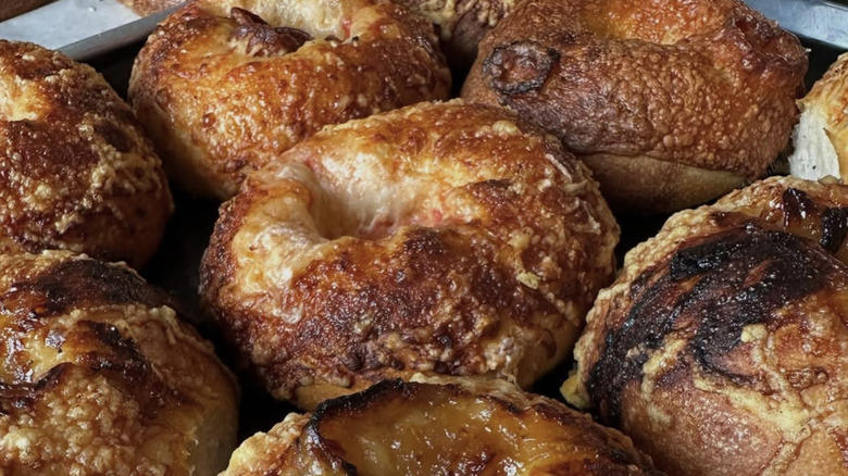 Mt. Bagel, Backyard Bagel, Hey Bagel, Old Salt Fish and Bagel, Bloom Bistro & Grocery, Rachel's Bagels and Burritos, Salmonberry Goods, Bagel Oasis, Loxsmith Bagels, Zylberschtein's Deli, Methodology